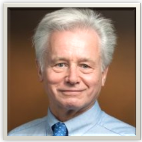 Volkmar Weissig Targeting Mitochondria
