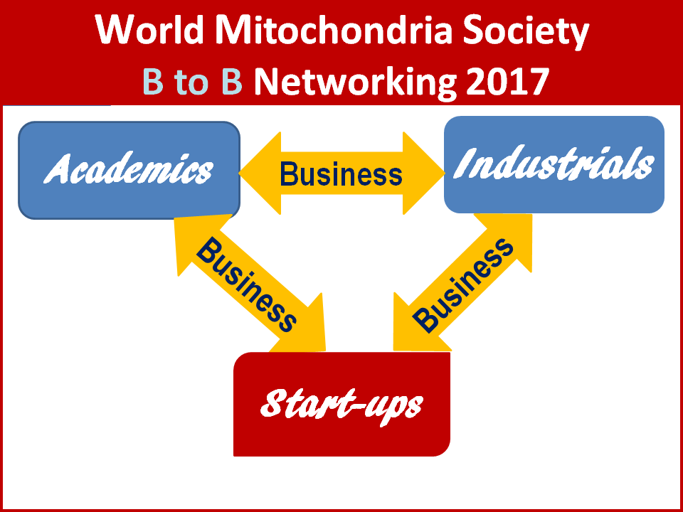 BtoB Mitochondria