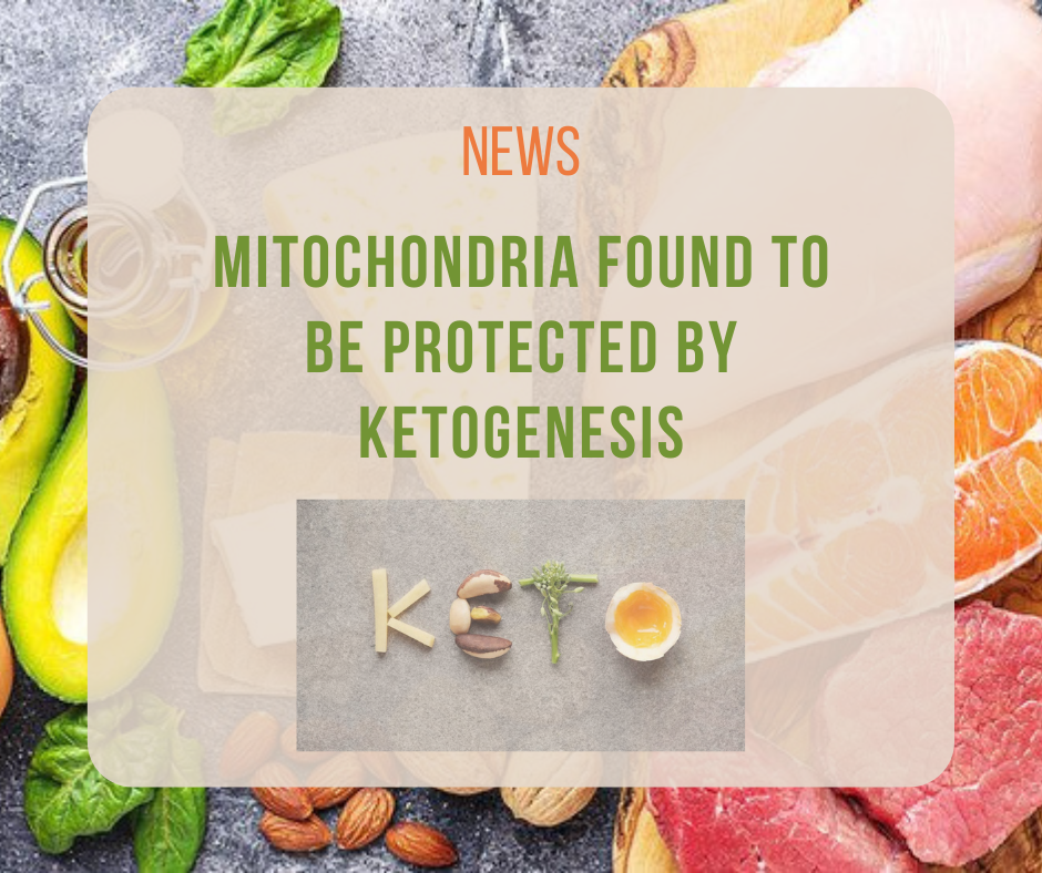 Mitochondria News