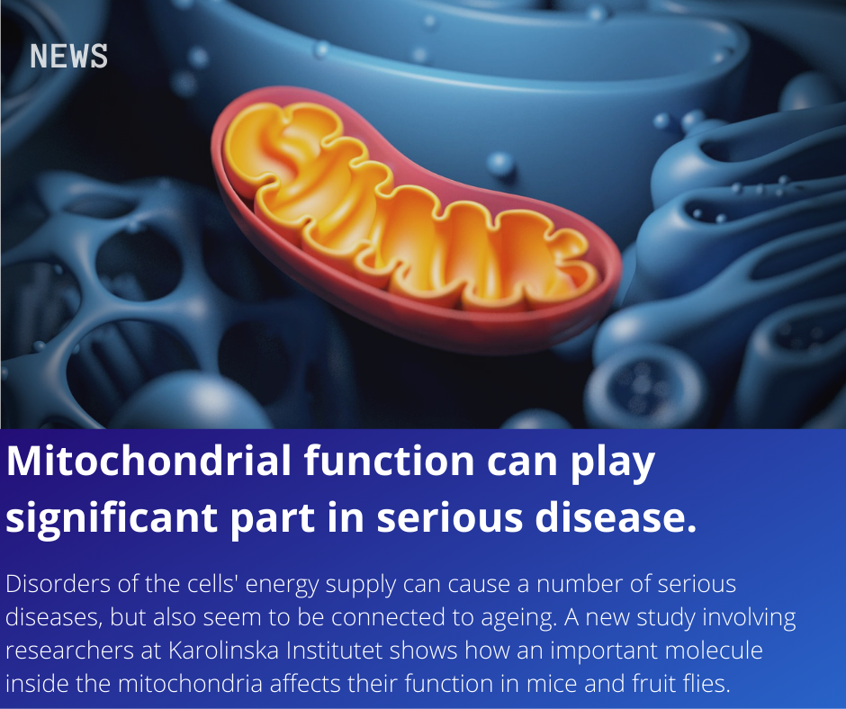 Mitonchondria News 10