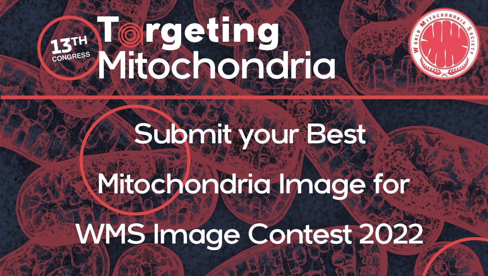 Best Mitochondria Image Contest 2022