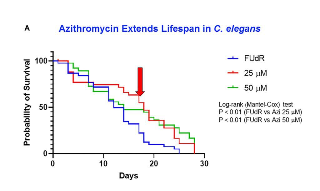Doxycycline extends lifespan of C. elegans
