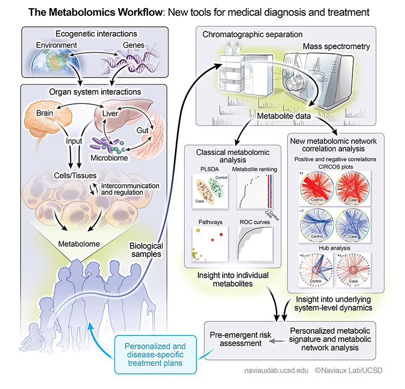 Metabolomics-800px