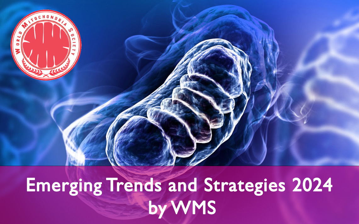 Emerging Trends & Strategies: 15th World Congress 2024