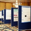 Targeting Mitochondria 2015 Conference Photos