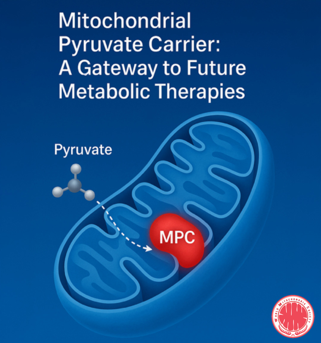 Mitochondrial-Medecine image