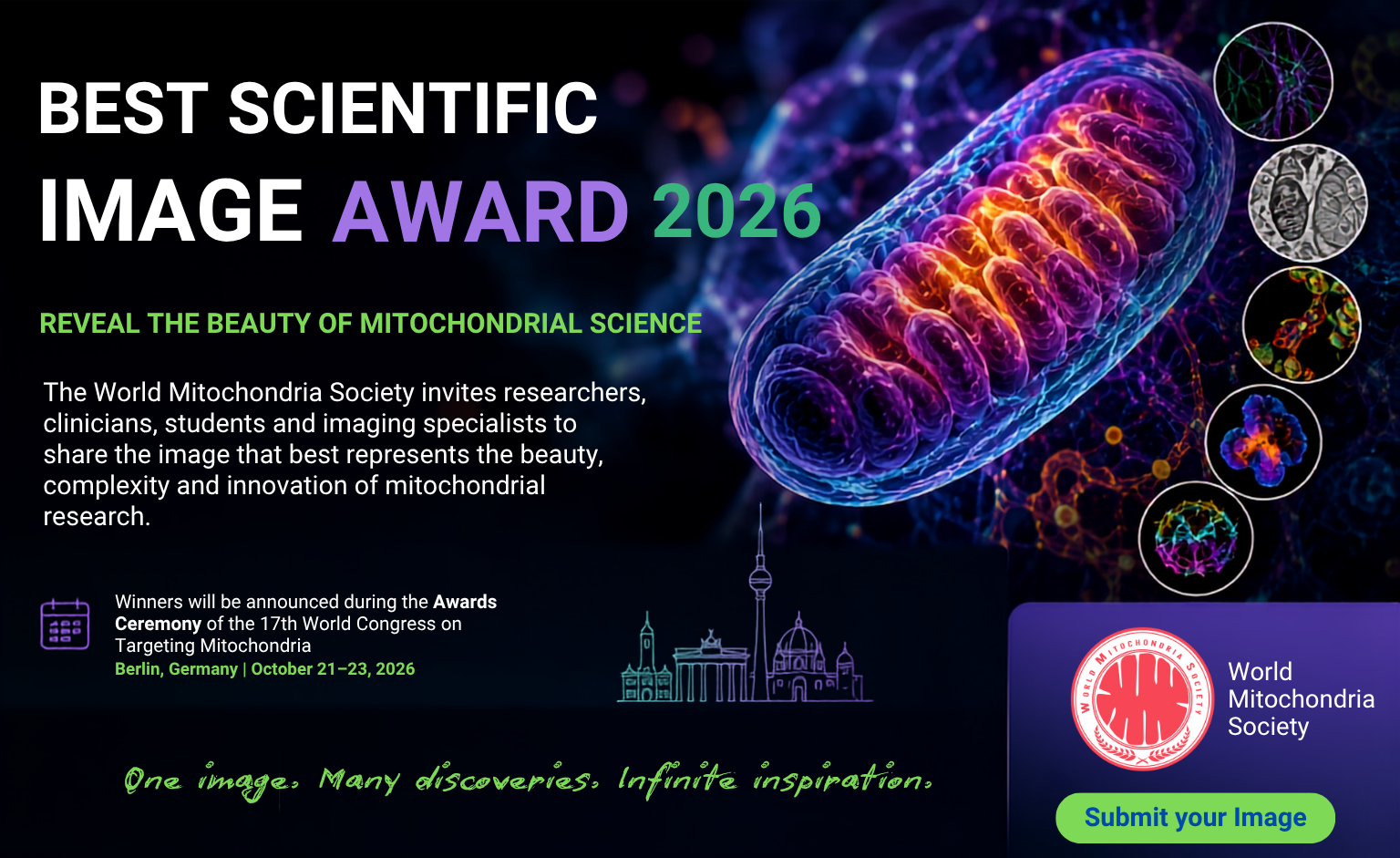 The World Mitochondria Society invites researchers clinicians students and imaging specialists to share the image that best represents the beauty complexity and innovation of mitochondrial rese 1