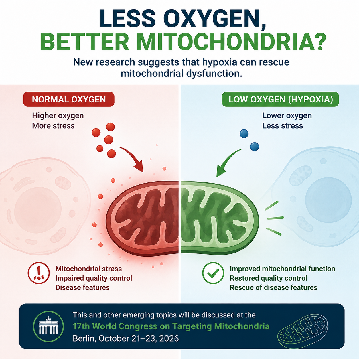 Can Less Oxygen Help Treat Mitochondrial Disease
