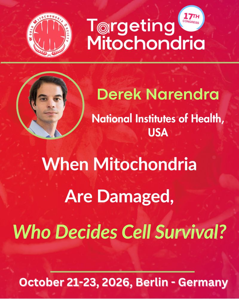 When Mitochondria Are Damaged, Who Decides Cell Survival? From Mitophagy to Stress Signaling: The Next Frontier in Neurodegeneration