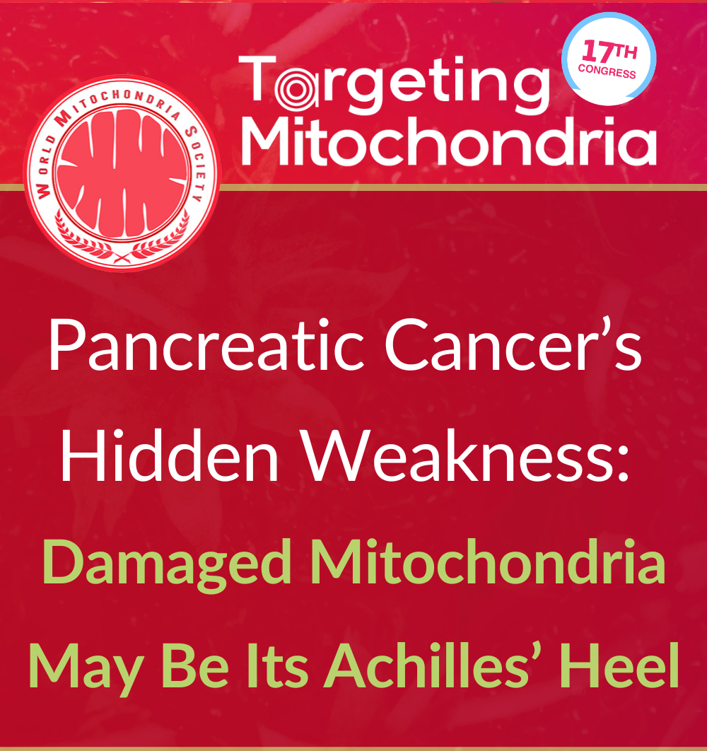 Pancreatic Cancers Hidden Weakness Damaged Mitochondria May Be Its Achilles Heel