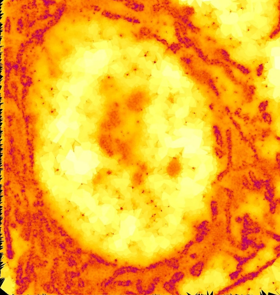 Image1