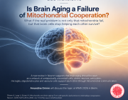Is Brain Aging a Failure of Mitochondrial Cooperation?