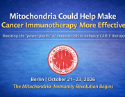 Mitochondria Could Help Make Cancer Immunotherapy More Effective